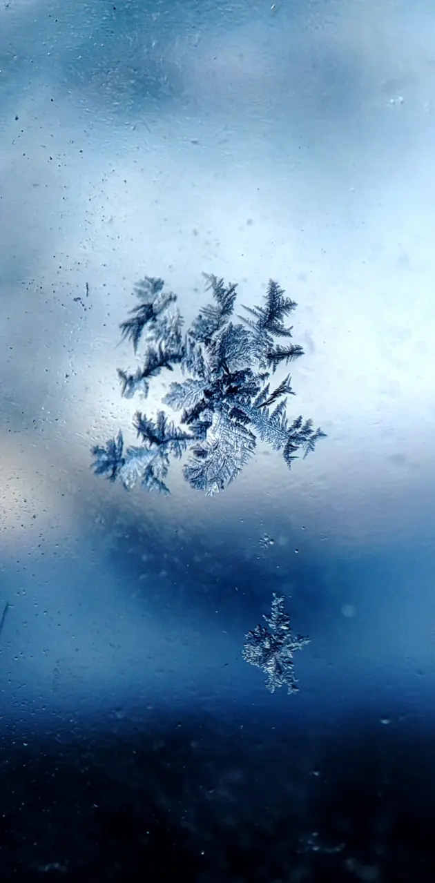 Frost window