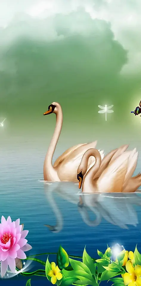 Swans Serenity