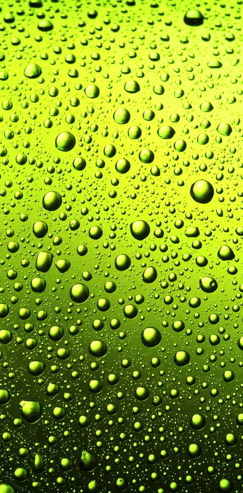 Lime Drops