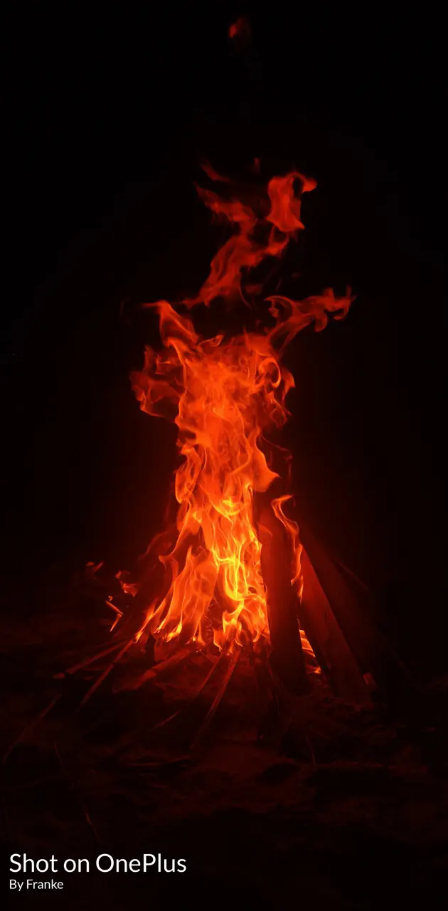 Bonfire 
