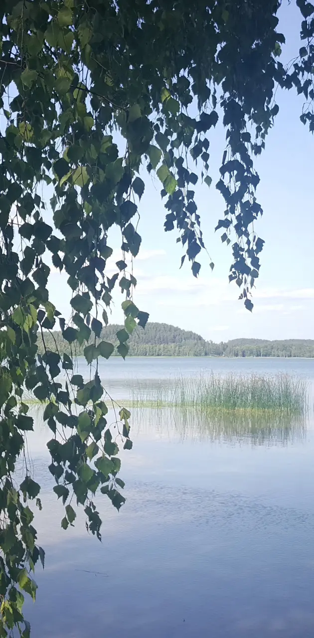 Lithuanian nature