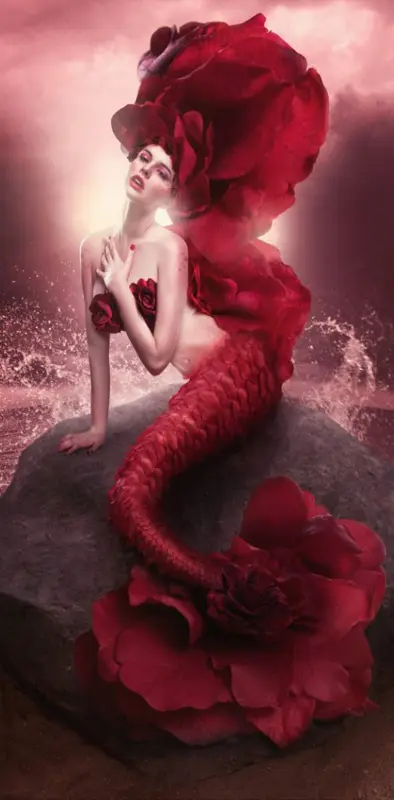 Rose Mermaid