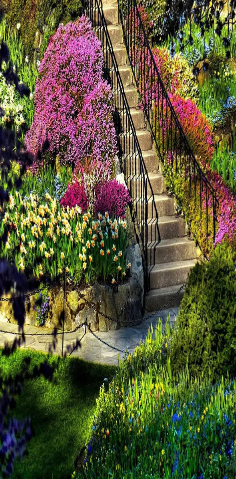 Colorful garden