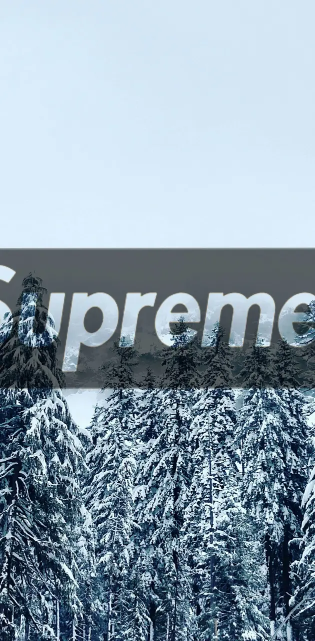 Supreme Snow