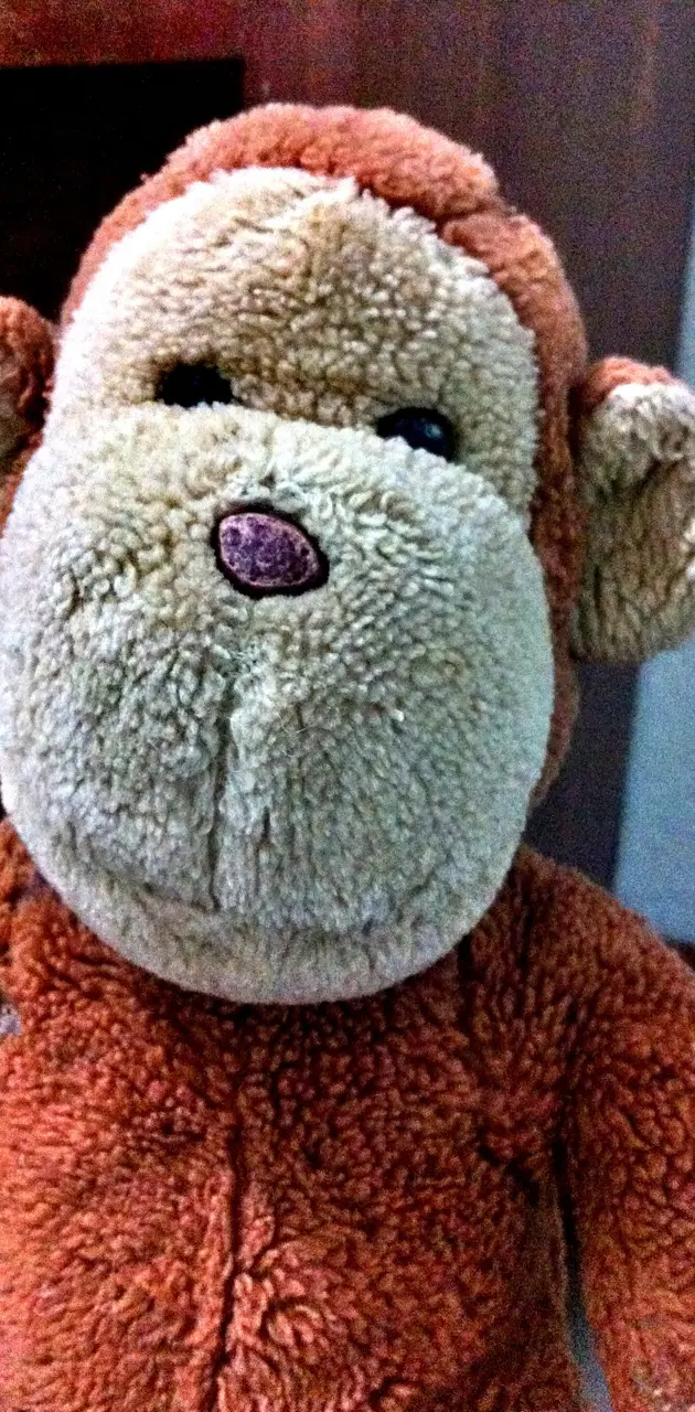 Teddy Monkey
