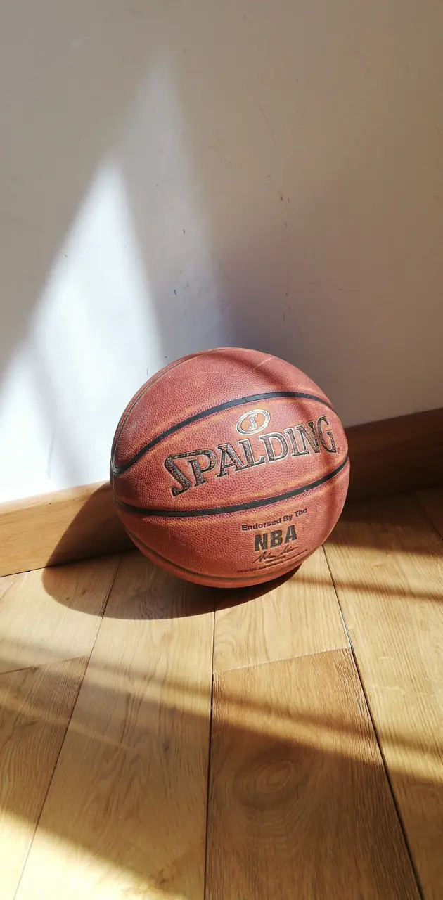 Basketball beauty