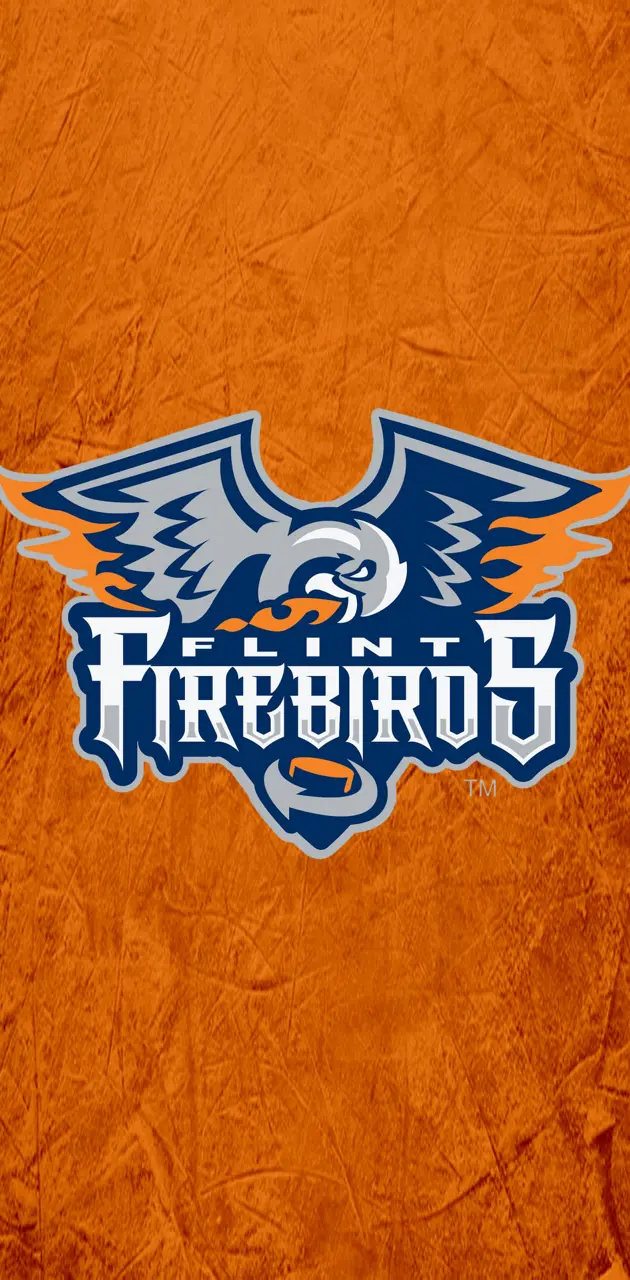 Flint Firebirds - 1