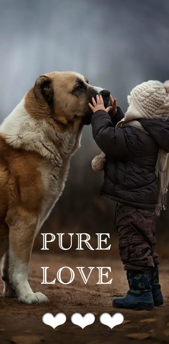 Pure Love