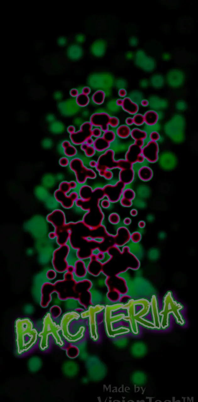 Abstract Bacteria