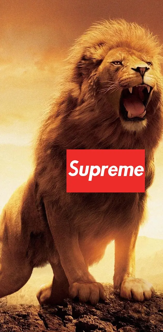 メンズsupreme Lion