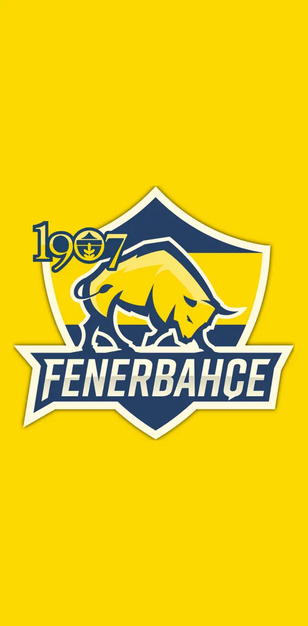 1907 Fenerbahce