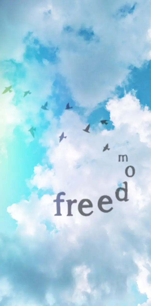 Freedom sky