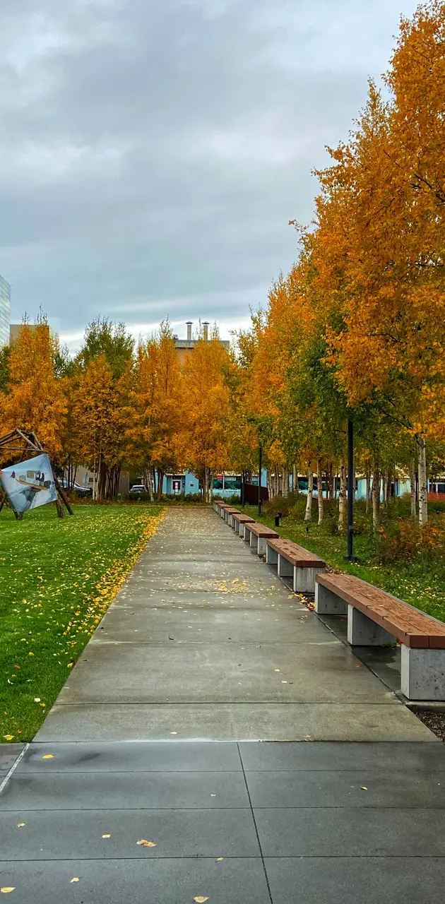 fall time in anchorage
