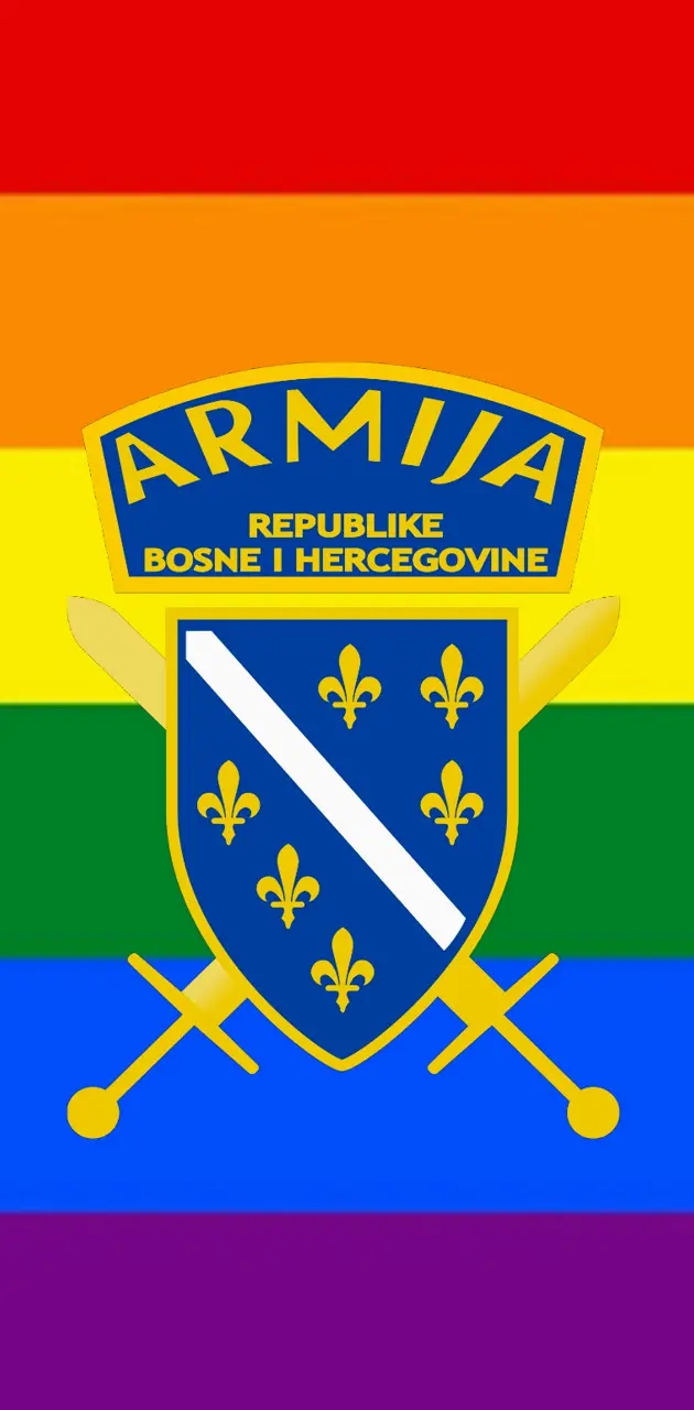 Bosna flag