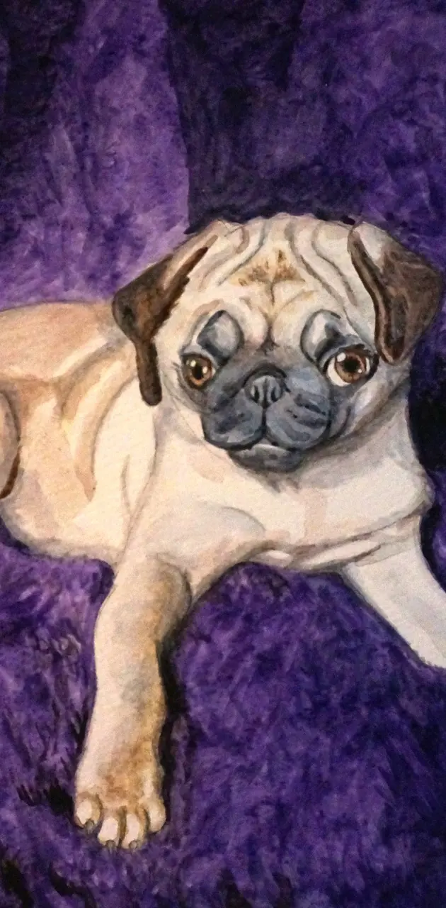 Pug painting