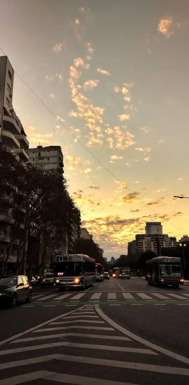 Buenos aires day