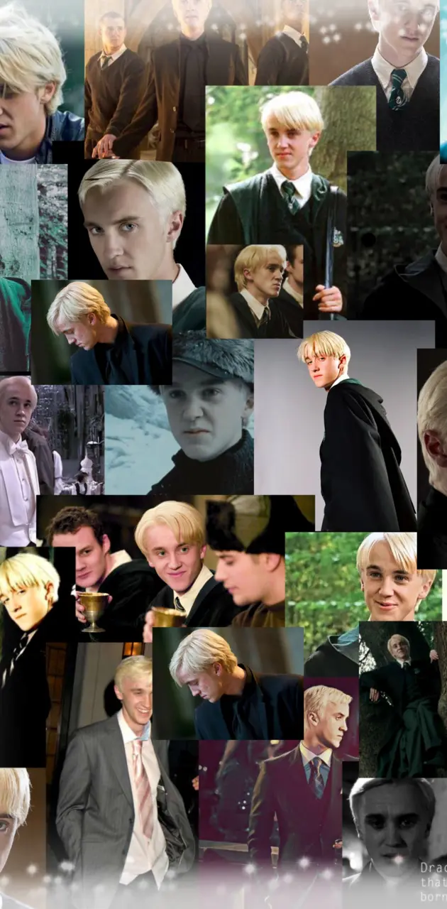Draco Draco Malfoy