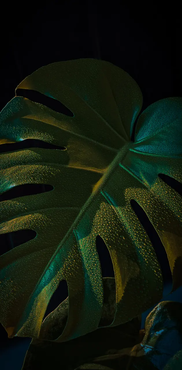 Monstera leaf pixel 