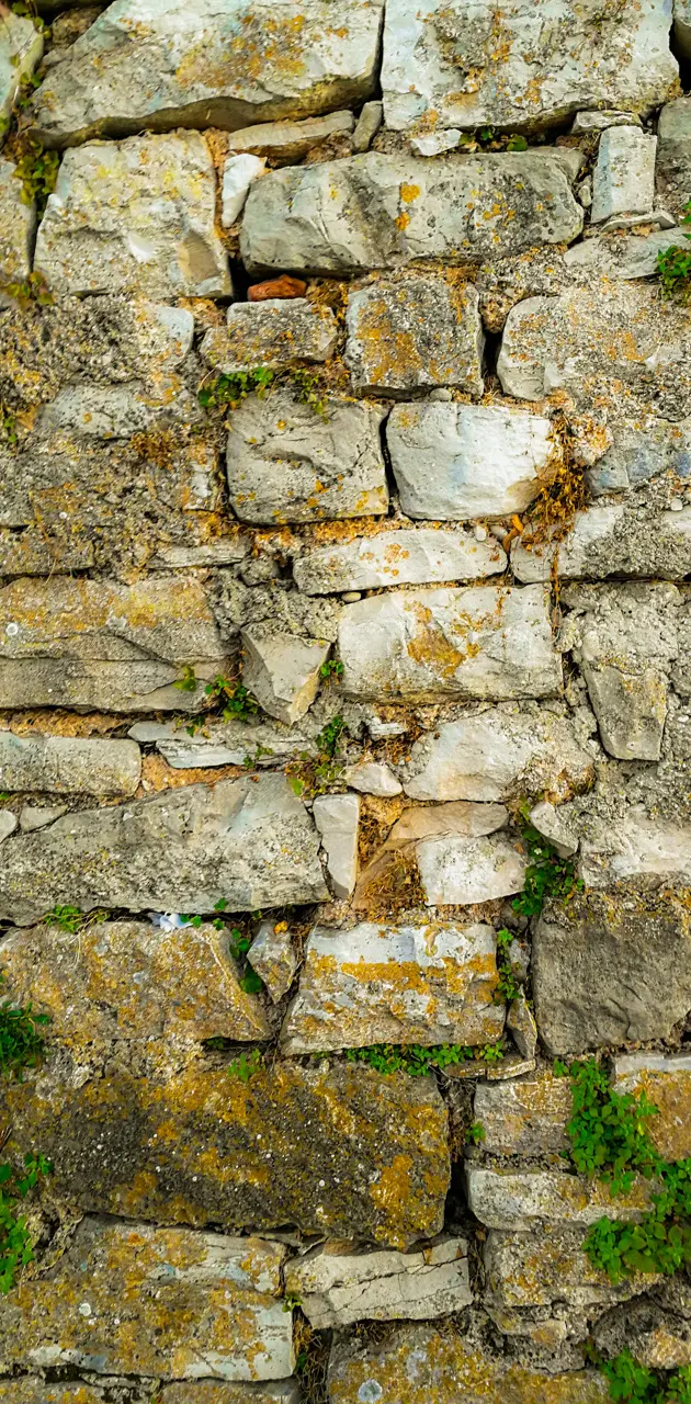 Wall from rocks 4