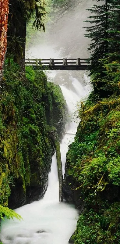 Bridge On Waterfall
