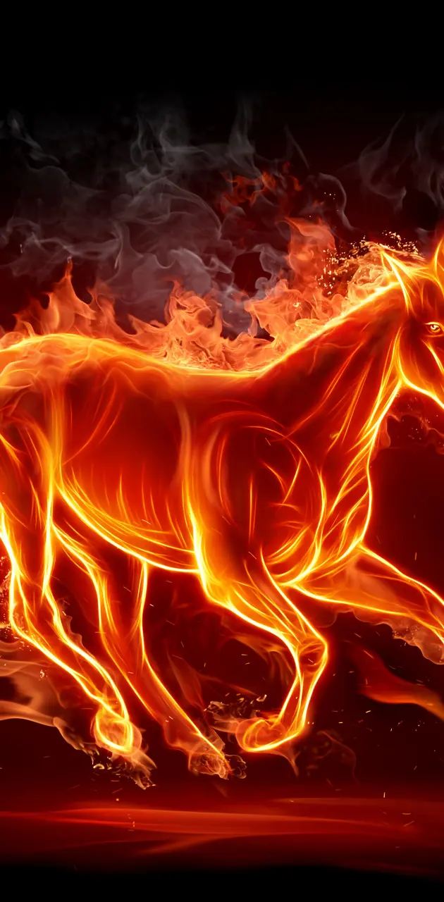 Horse On Fire