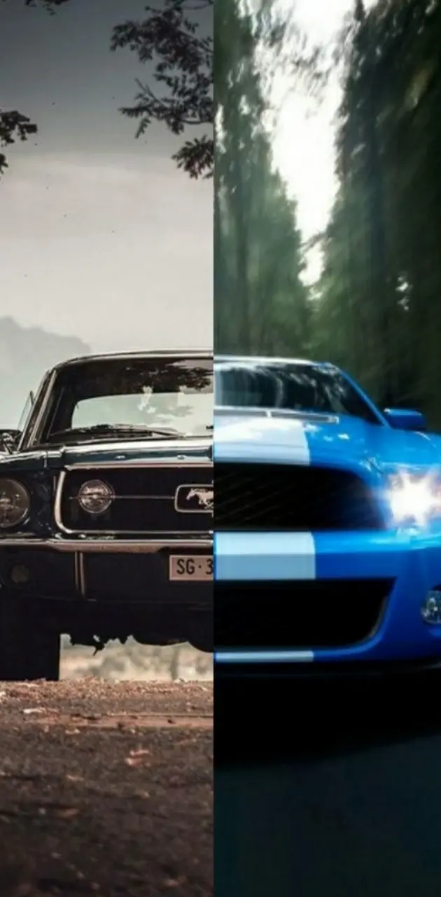 Mustang Evolution