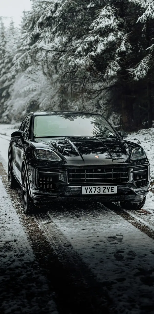 Black car in the snow 