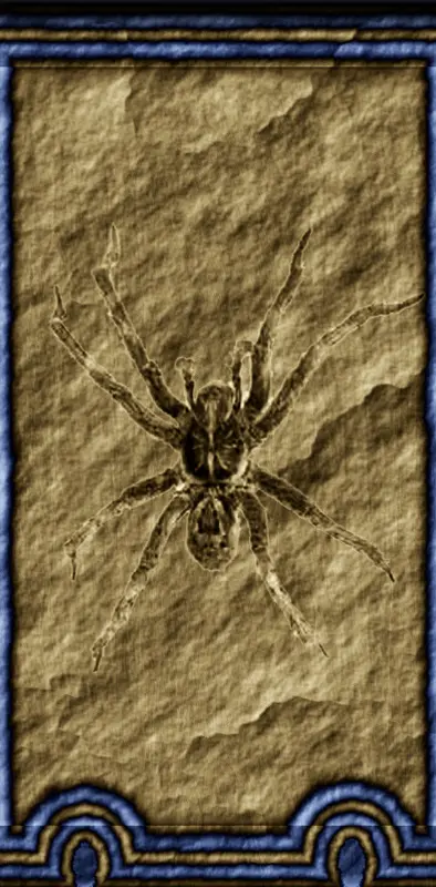 Arachnaphobia