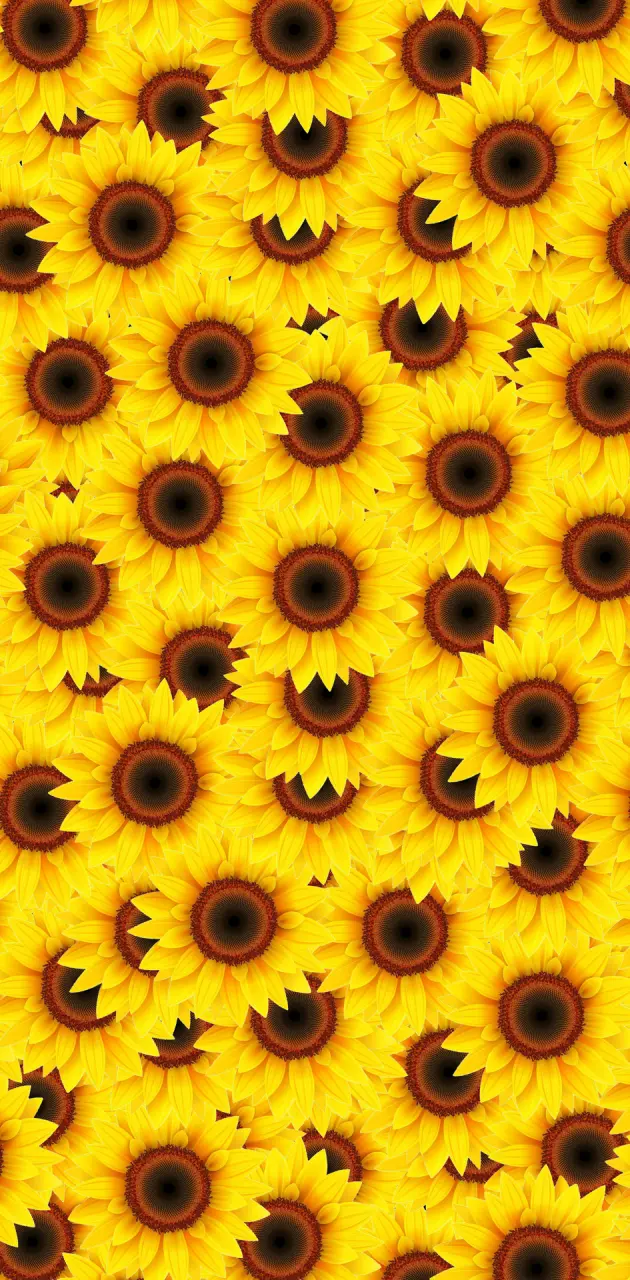 Sunflower tex