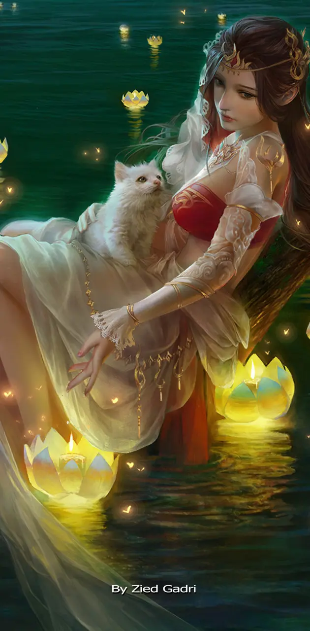 Fairy cat