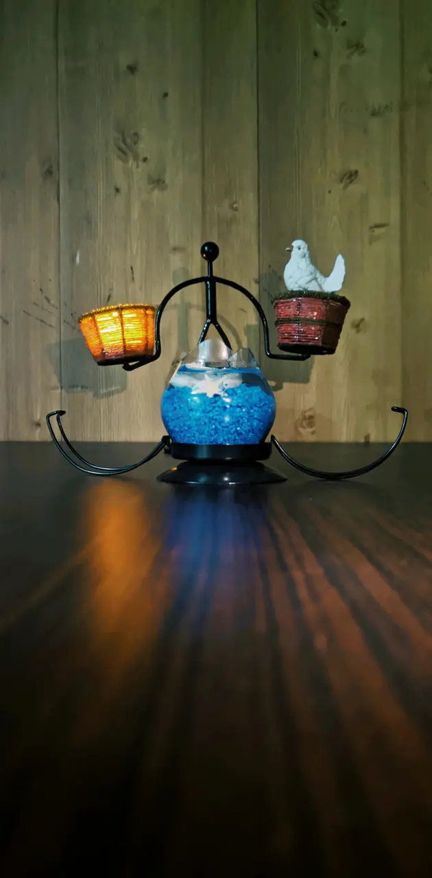 Decoration bird lamp