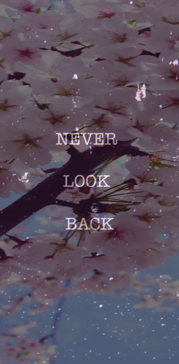 Never look back