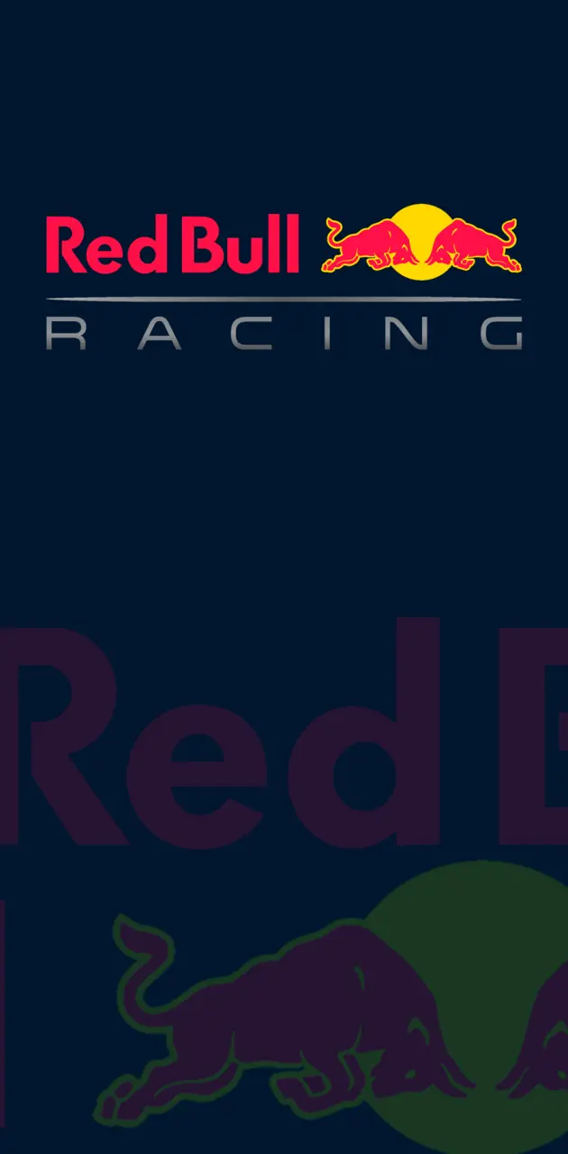 Red Bull  F1 Team