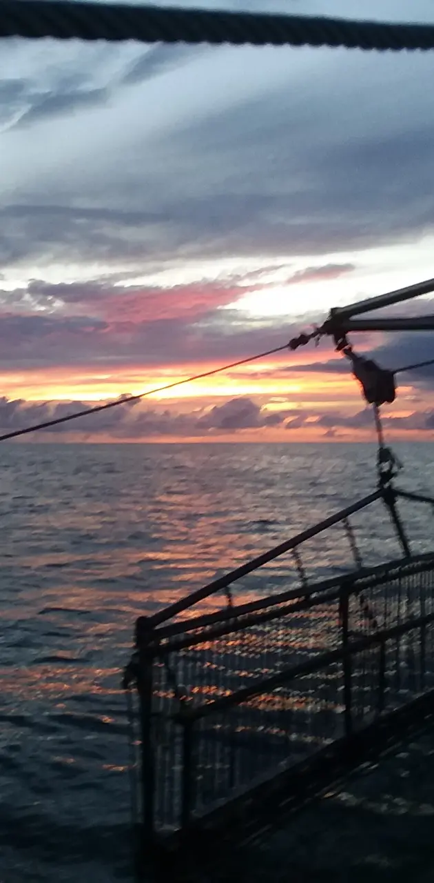 Trawl in The Sunset