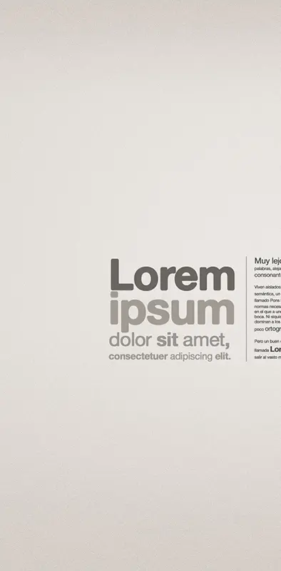 Loremipsum