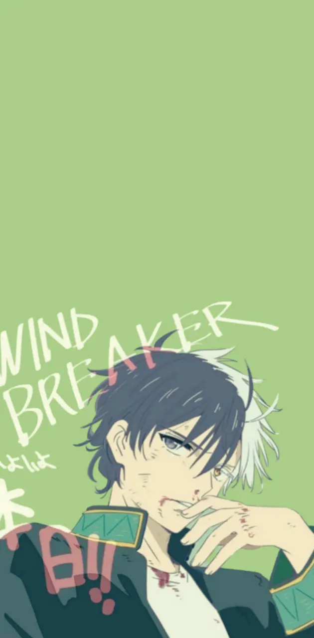 Haruka Sakura - Wind Breaker anime 