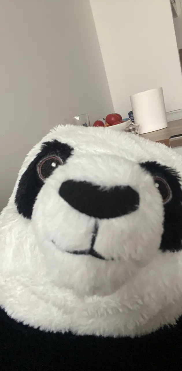 Panda looking to soul