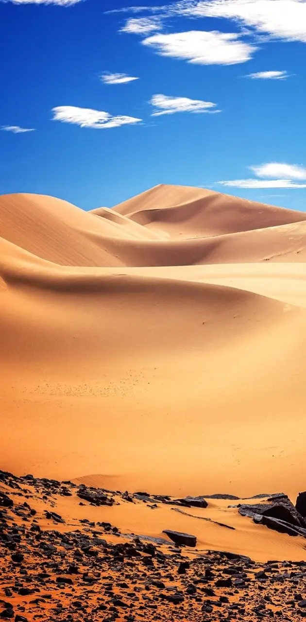 Algeria Desert