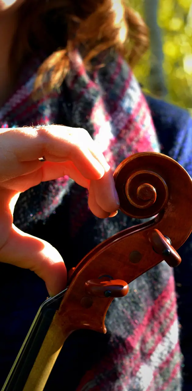 Violin Heart