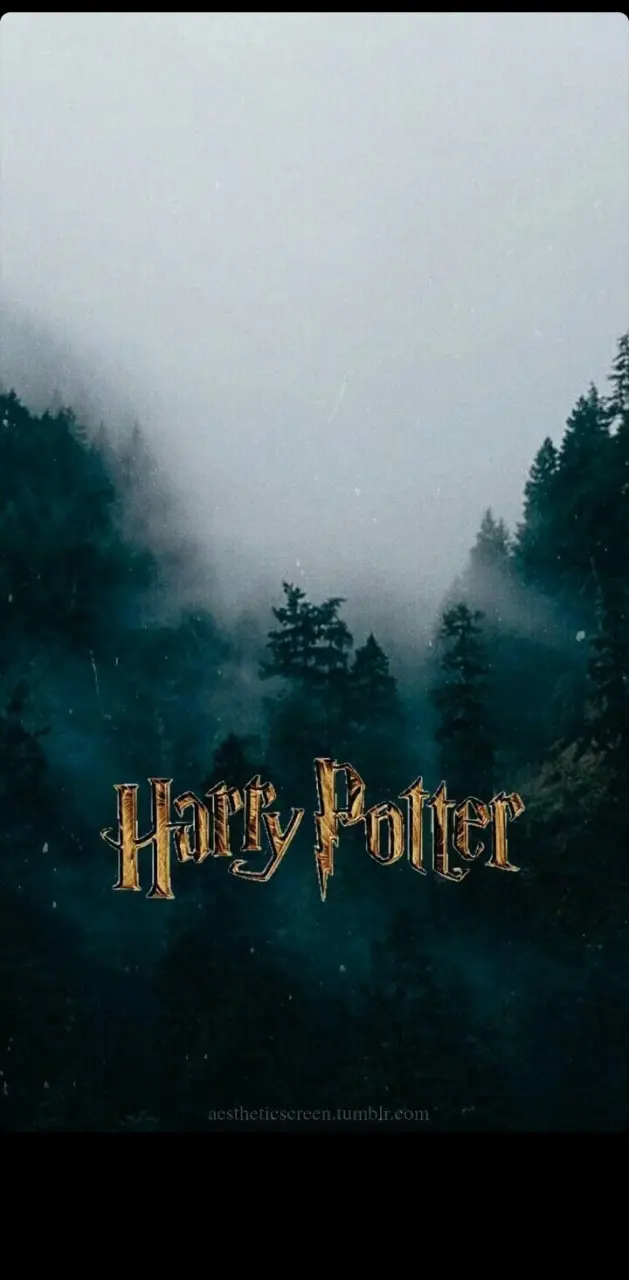 Harry Potter wallpaper by LETYCS22 - Download on ZEDGE™