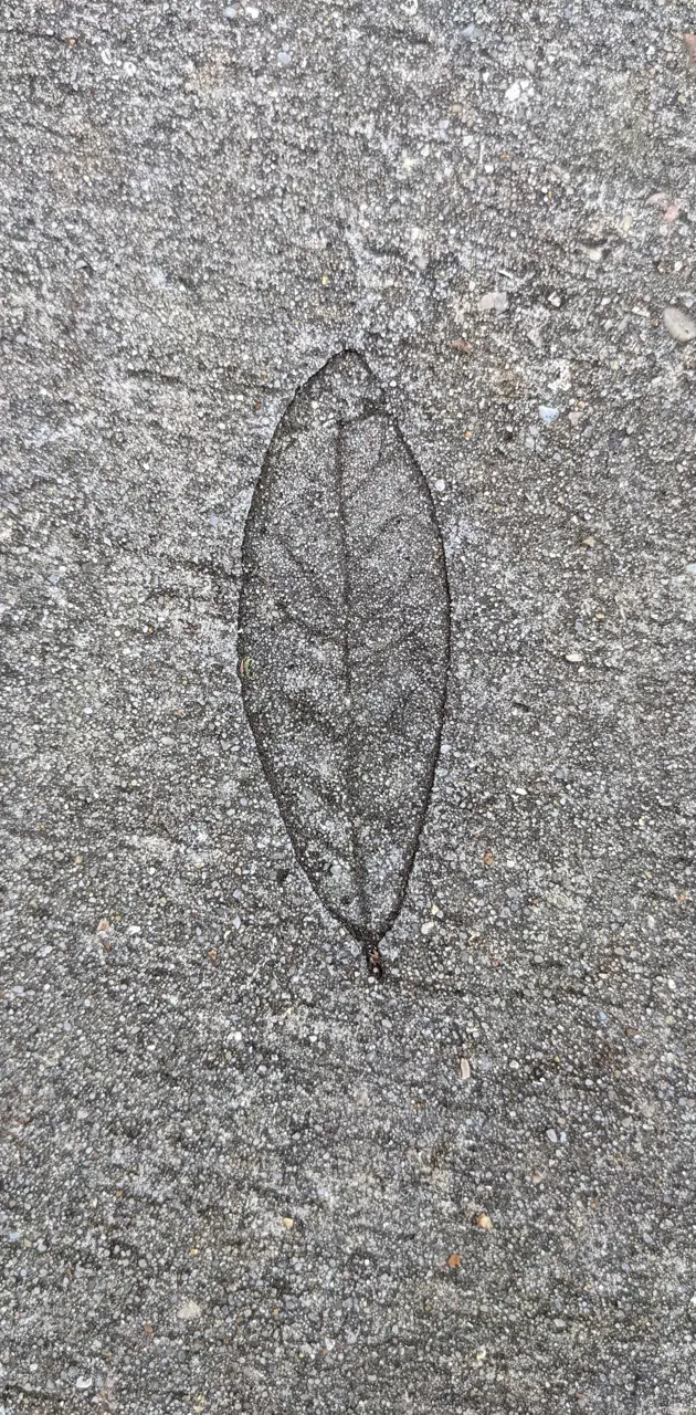 Cemented Leaf