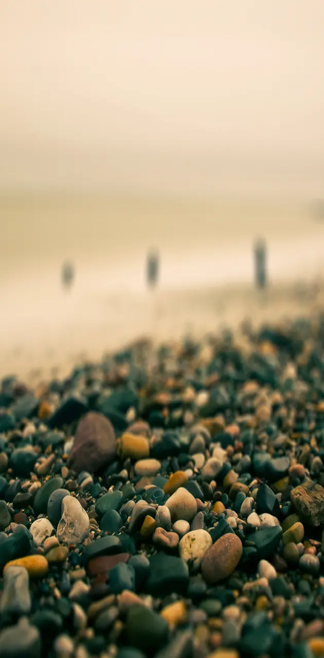 Coastal Pebbles