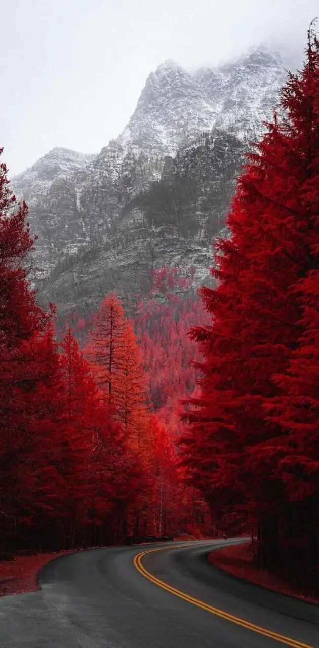 Red Treeline