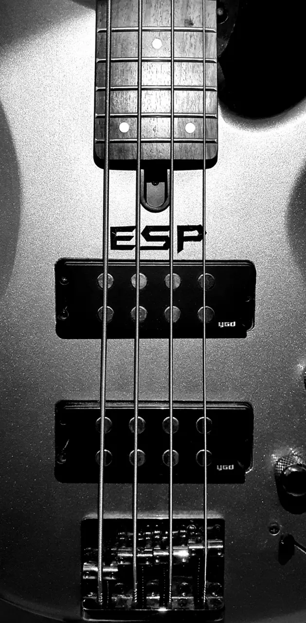 Yamaha bass Esp