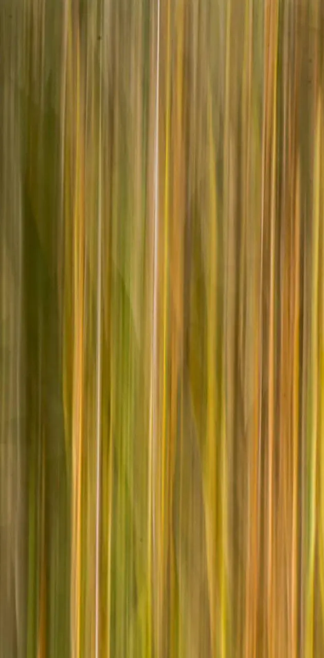 Abstract reeds