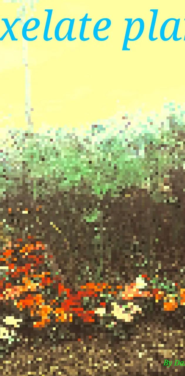 Pixelate plant