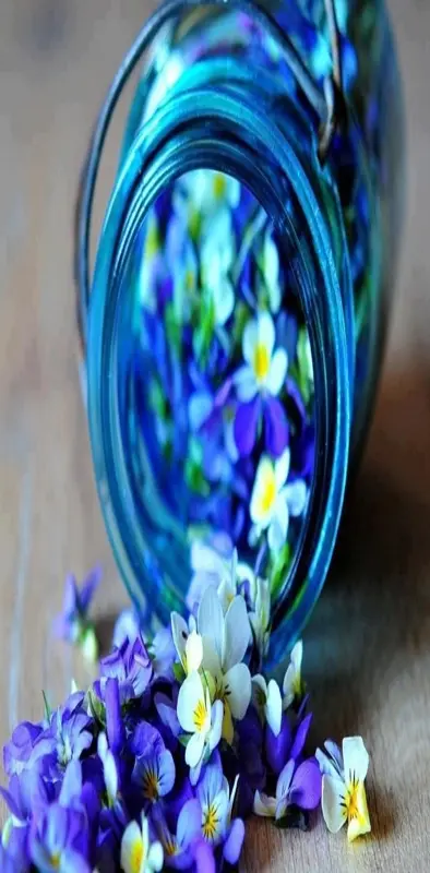 Blue Flowerss