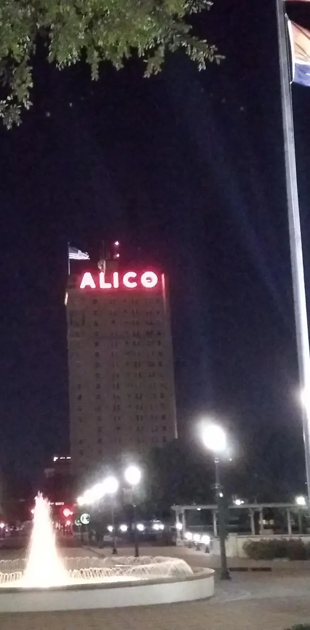 Waco Alico 2018