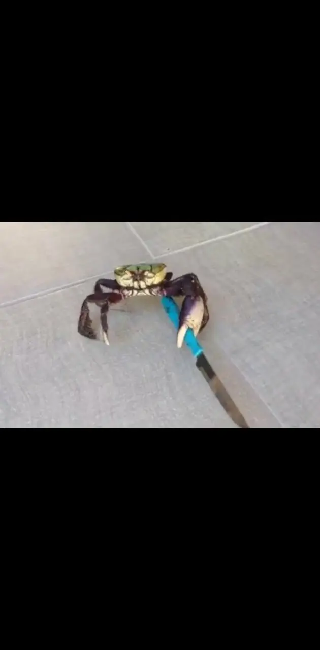 Crab With A Knife