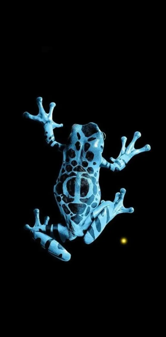Frog HD